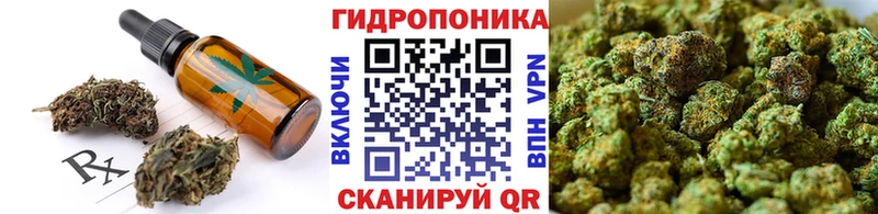 Cannafood конопля  где можно купить   Абинск 